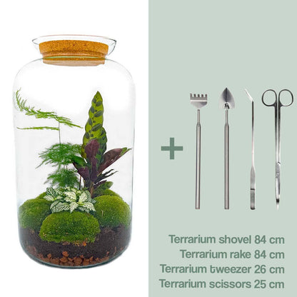 DIY-Terrarium – Botanisches Sven XL – ↕ 43 cm – Normal