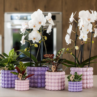 Kolibri Home | Poppy sierpot - Purple - Ø9cm | productafbeelding 3