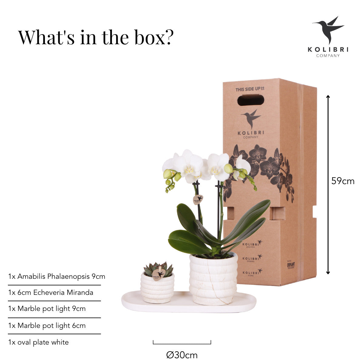 Kolibri Company | Plantenset Slow Living small met orchidee in keramische potten op wit organisch dienblad