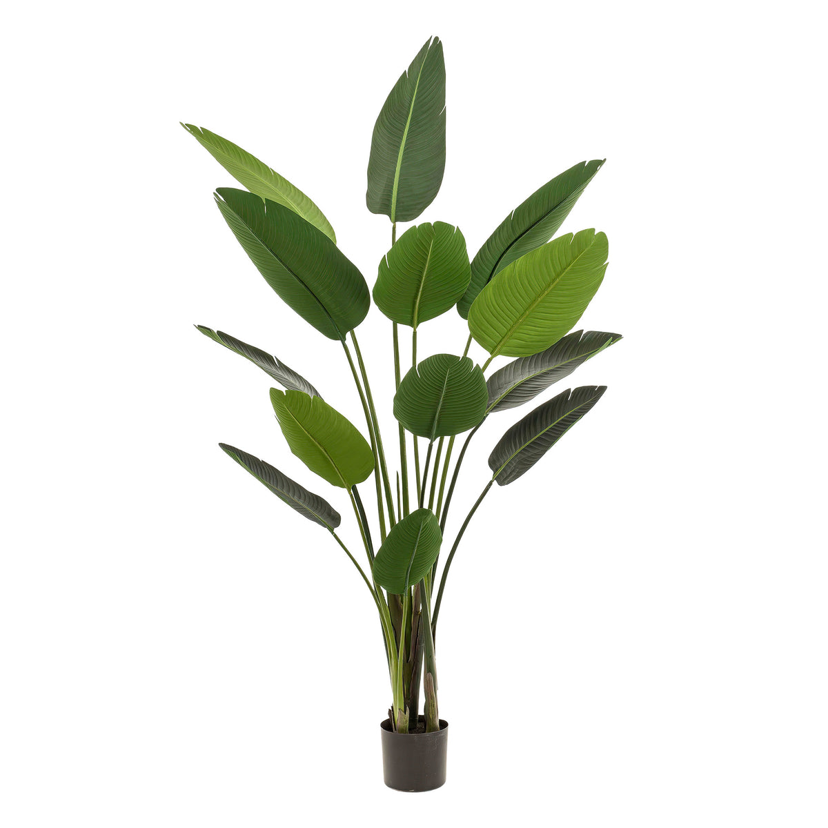 Kunstplant - Strelitzia Nicolai - Paradijsvogelbloem - 190 cm | productafbeelding 5