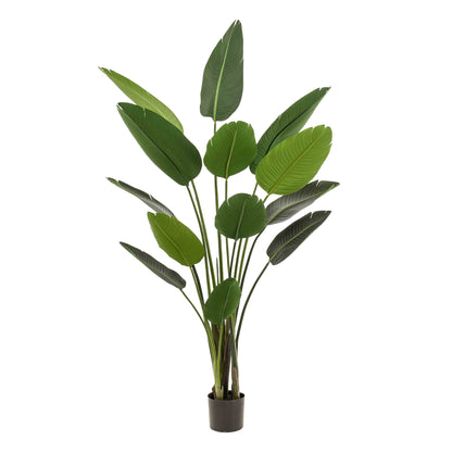 Kunstplant - Strelitzia Nicolai - Paradijsvogelbloem - 190 cm | productafbeelding 5