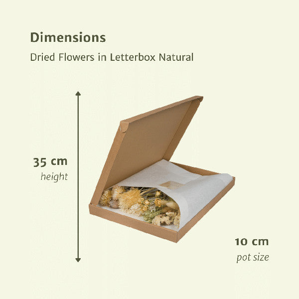 Droogbloemen letterbox Pink Natural - foto 2