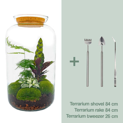 DIY-Terrarium – Botanisches Sven XL – ↕ 43 cm – Normal
