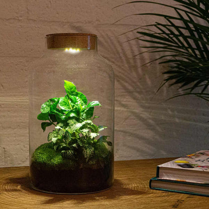 DIY-Terrarium – Milchkaffee mit Lampe – ↕ 31 cm – Rechen + Schaufel