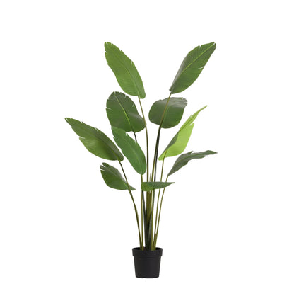 ARTIFICIAL Strelitzia Nicolai - 180cm | productafbeelding 6