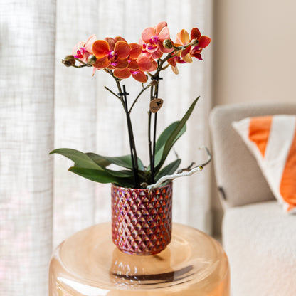 Kolibri Home | Diamond pearl sierpot - Red - Ø6cm | productafbeelding 5