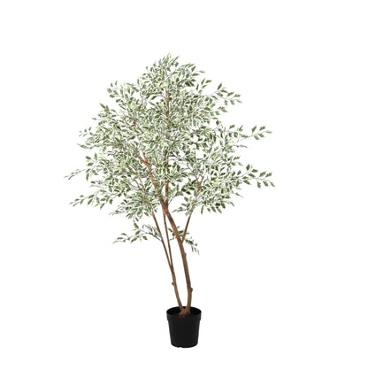 ARTIFICIAL Ficus benjamina variegata - 185cm | productafbeelding 6