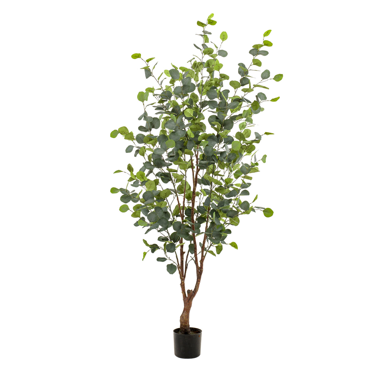 Kunstplant - Eucalyptus - Blauwe Gomboom - 140 cm | productafbeelding 6