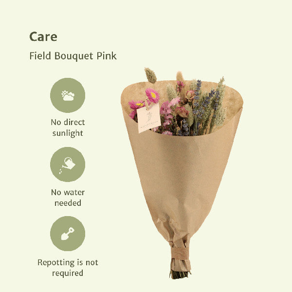 Droogbloemen Field Bouquet Pink - foto 4