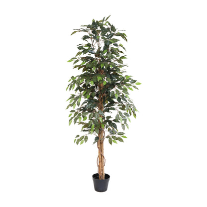 ARTIFICIAL Ficus Benjamina - 160cm | productafbeelding 2