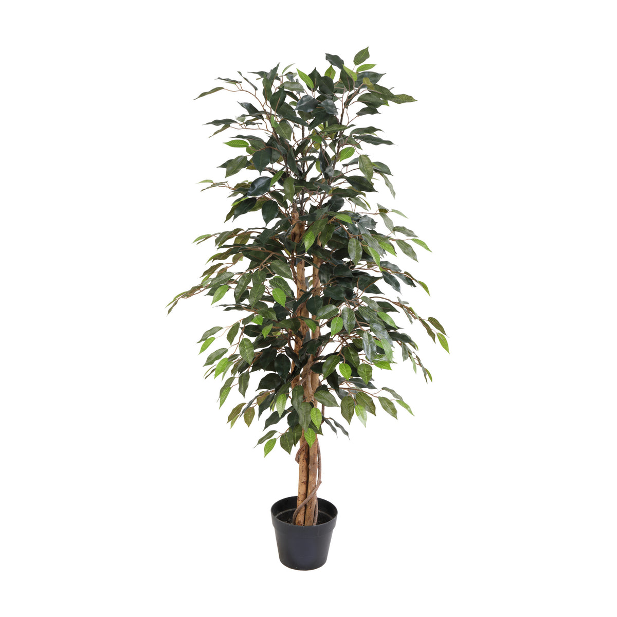 ARTIFICIAL Ficus Benjamina - 130cm | productafbeelding 2