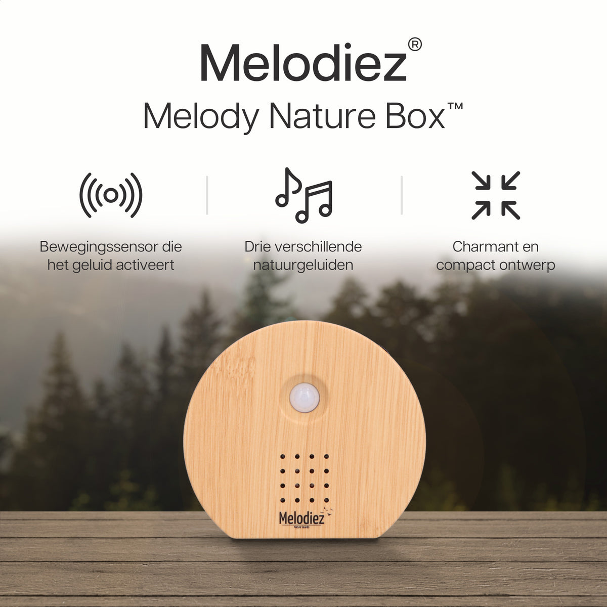 Melodiez music box - Hout | productafbeelding 12