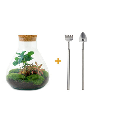DIY-Terrarium - Sammie Coffea - ↕ 27 cm - Rechen + Schaufel