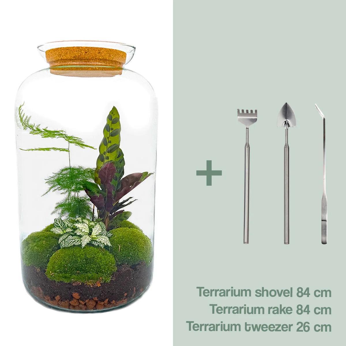 DIY-Terrarium – Botanisches Sven XL – ↕ 43 cm – Rechen + Schaufel + Pinzette