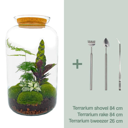 DIY-Terrarium – Botanisches Sven XL – ↕ 43 cm – Rechen + Schaufel + Pinzette