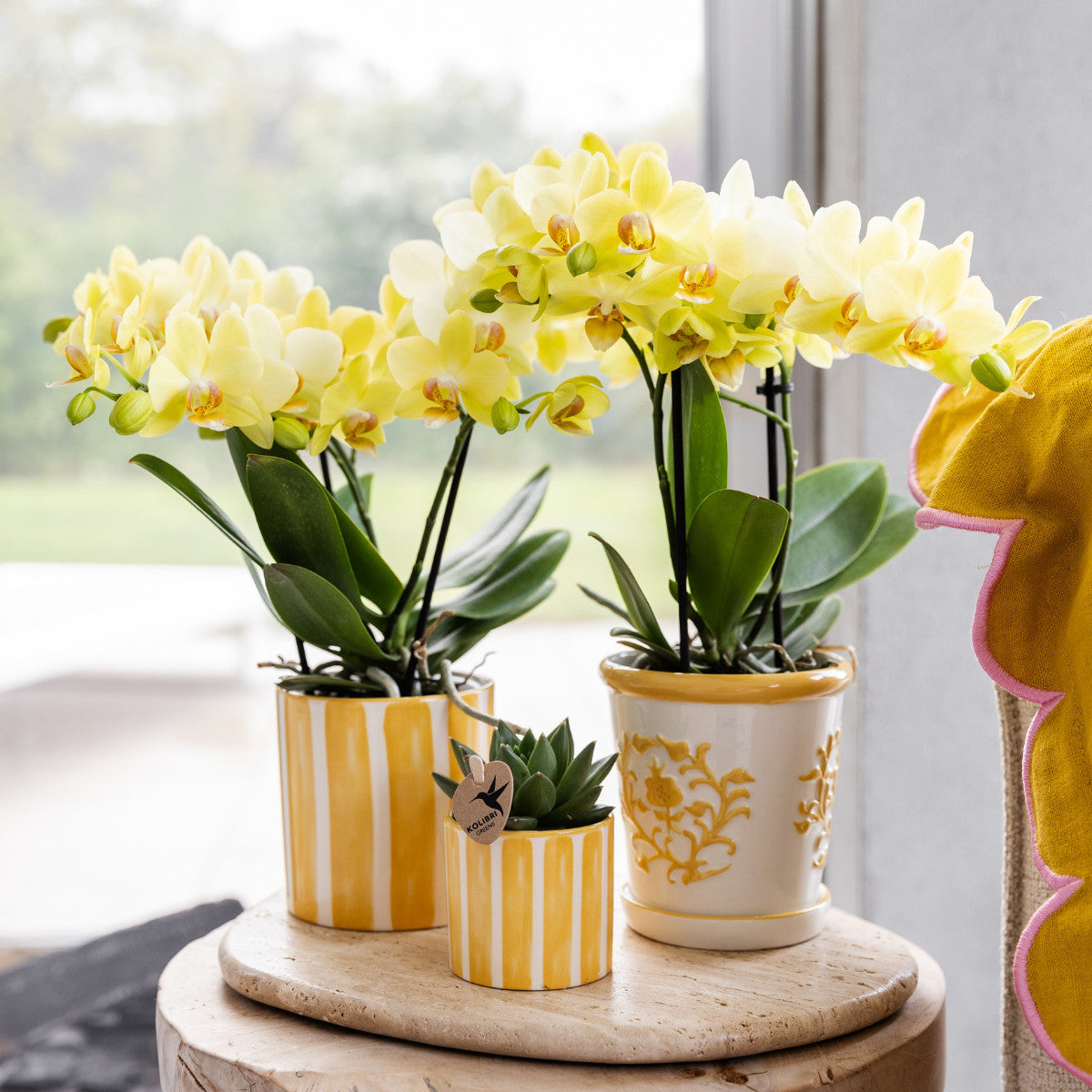 Kolibri Home | Painted stripe - Yellow - Ø6cm | productafbeelding 2