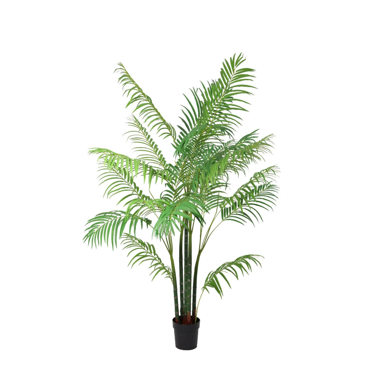 ARTIFICIAL Areca - 190cm | productafbeelding 6