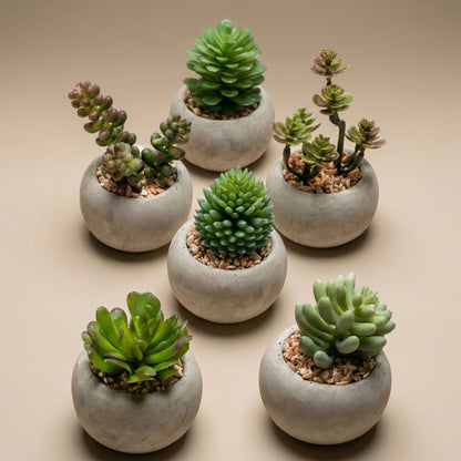 Kunst mini vetplanten in cementen pot - Succulent mix set 6 - Ø 6,5