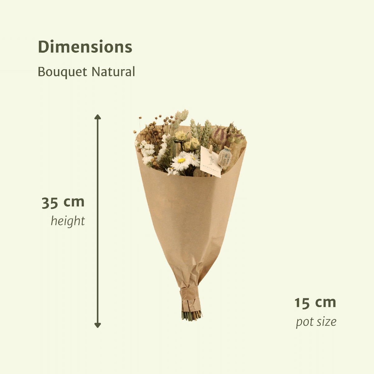 Droogbloemen Field Bouquet Natural - Ø15cm - ↕35cm | productafbeelding 2