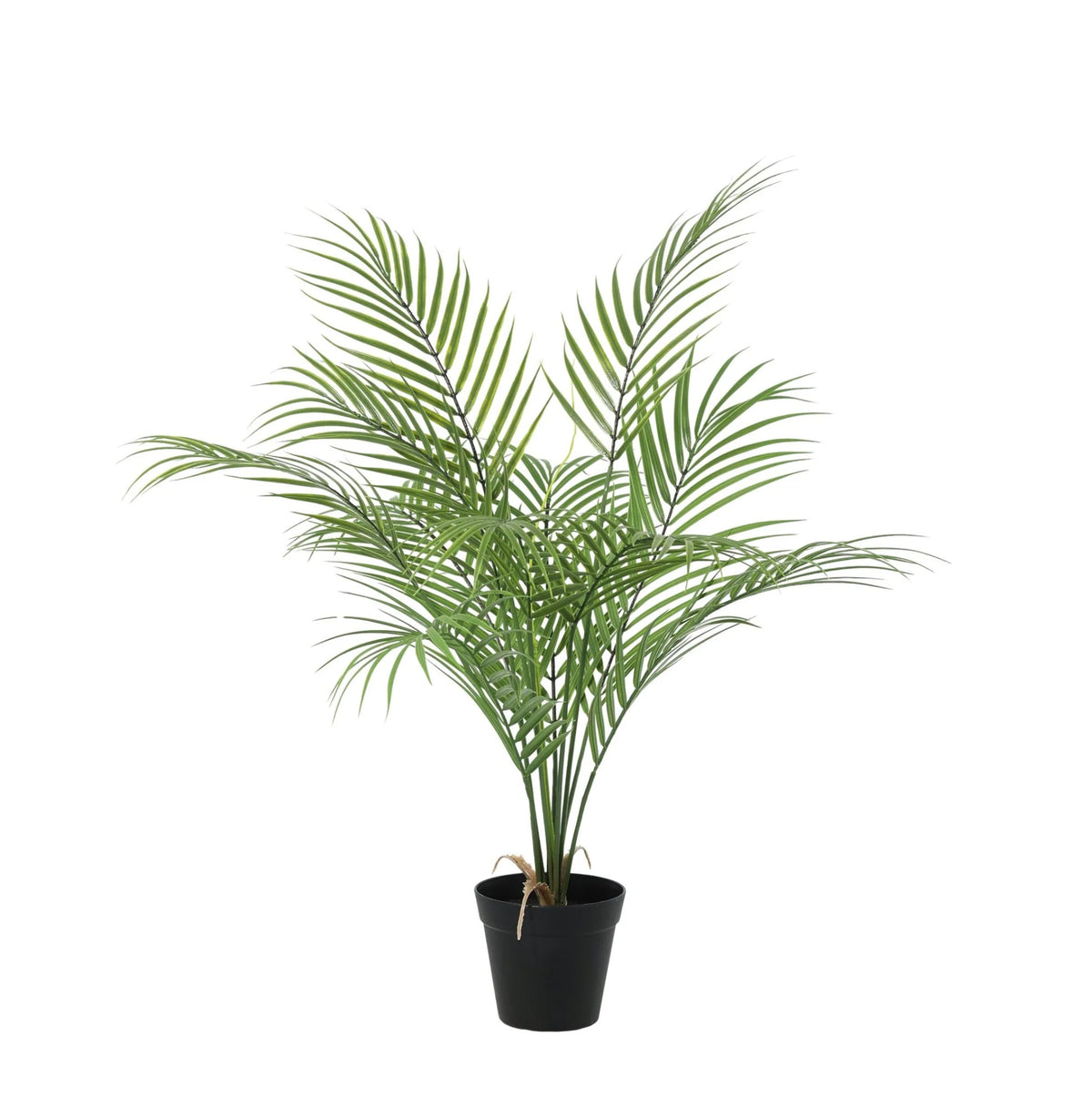 ARTIFICIAL Kentia palm - 65cm | productafbeelding 7