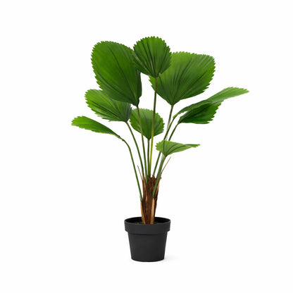 ARTIFICIAL Licuala Grandis - 104cm | productafbeelding 6