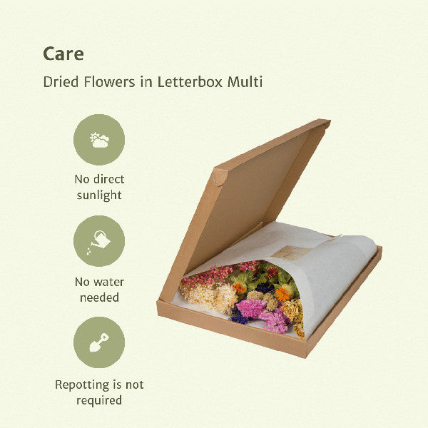 Droogbloemen letterbox Pink Multi - foto 3