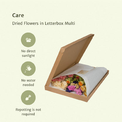 Droogbloemen letterbox Pink Multi - foto 3