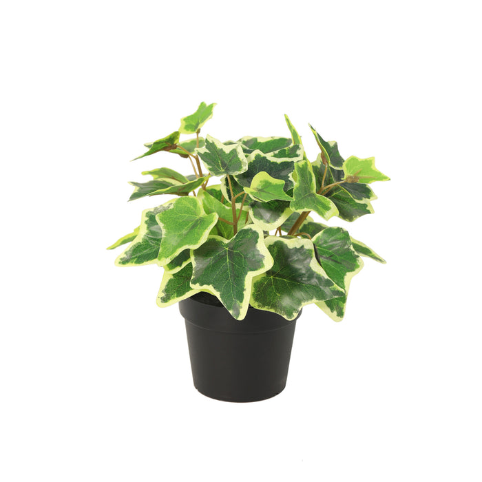 ARTIFICIAL White Ivy - 19cm
