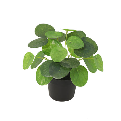 ARTIFICIAL Pilea peperomioides - 17,5cm | productafbeelding 2