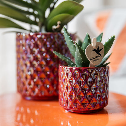 Kolibri Home | Diamond pearl sierpot - Red - Ø6cm | productafbeelding 6