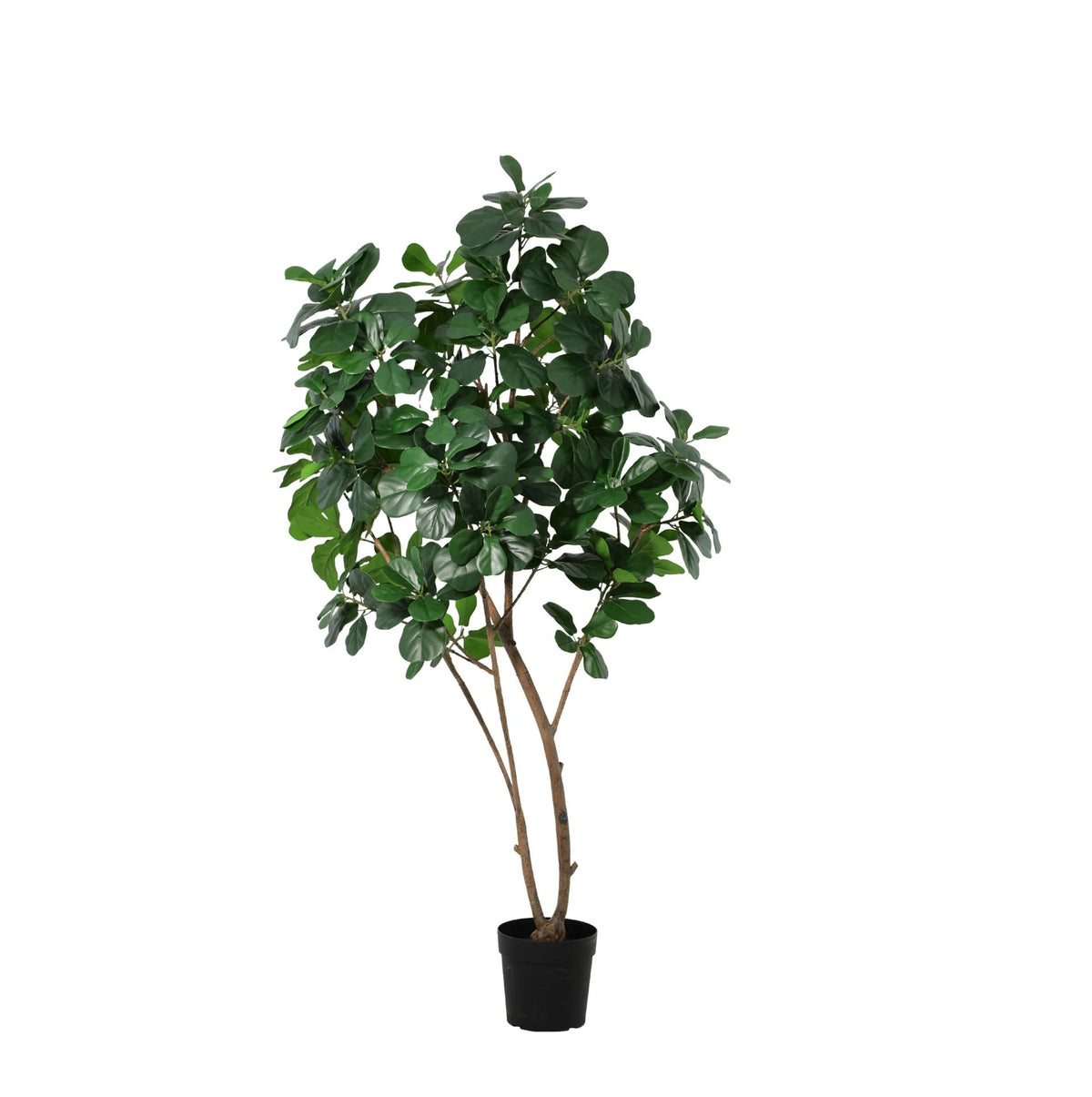 ARTIFICIAL Ficus Lyrata boom - 180cm | productafbeelding 6