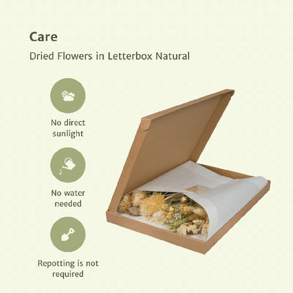 Droogbloemen letterbox Pink Natural - foto 3
