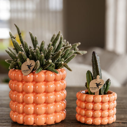 Kolibri Home | Poppy sierpot - Orange - Ø9cm | productafbeelding 5