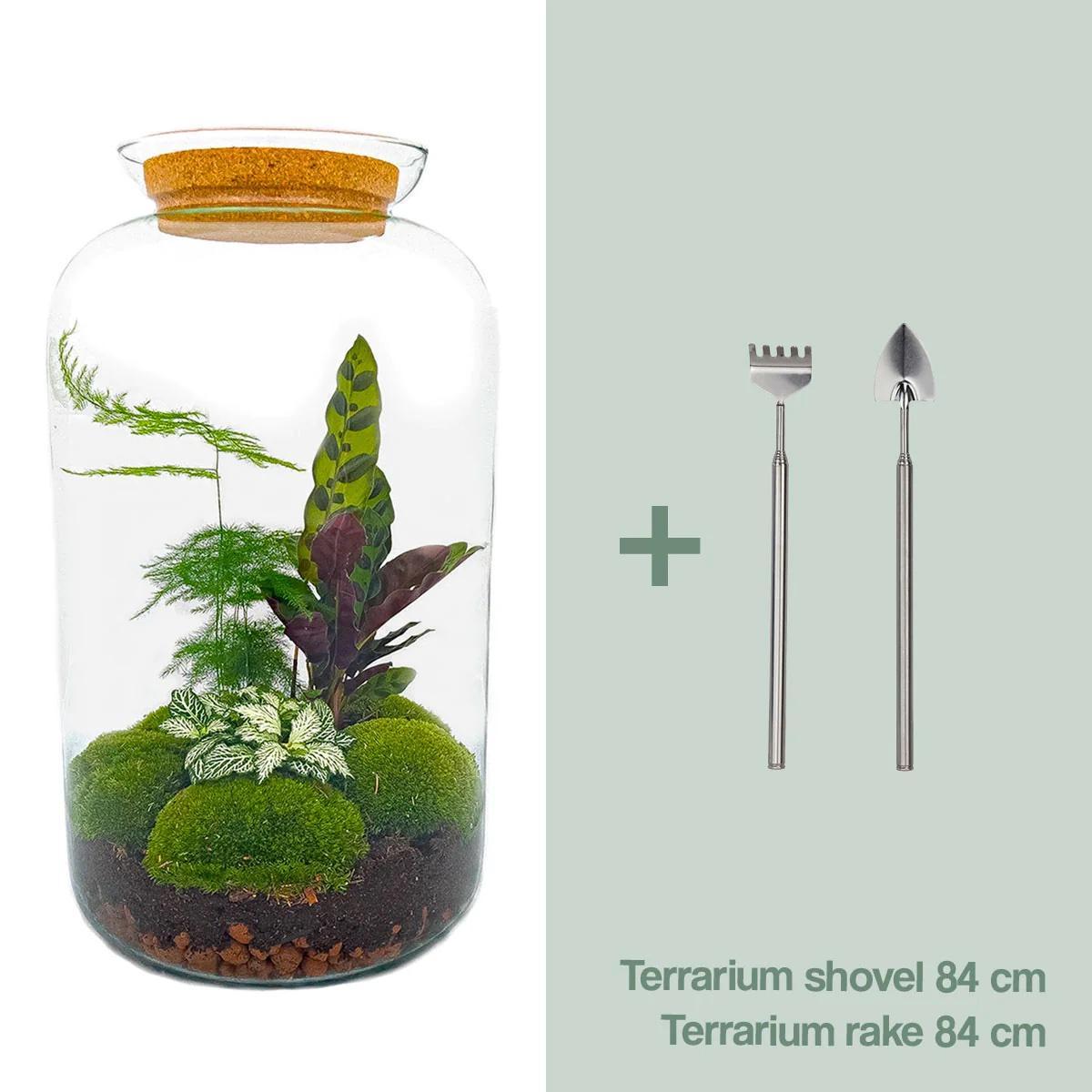 DIY-Terrarium - Botanical Sven XL - ↕ 43 cm - Rechen + Schaufel