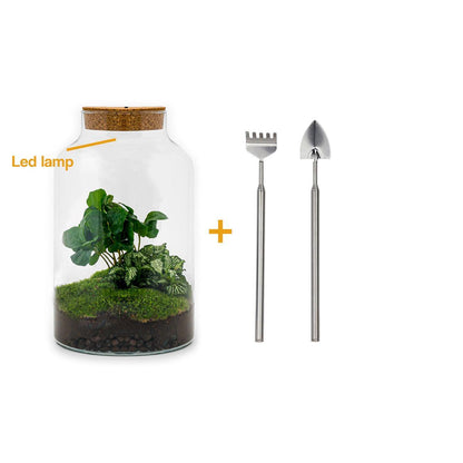 DIY-Terrarium – Milchkaffee mit Lampe – ↕ 31 cm – Rechen + Schaufel