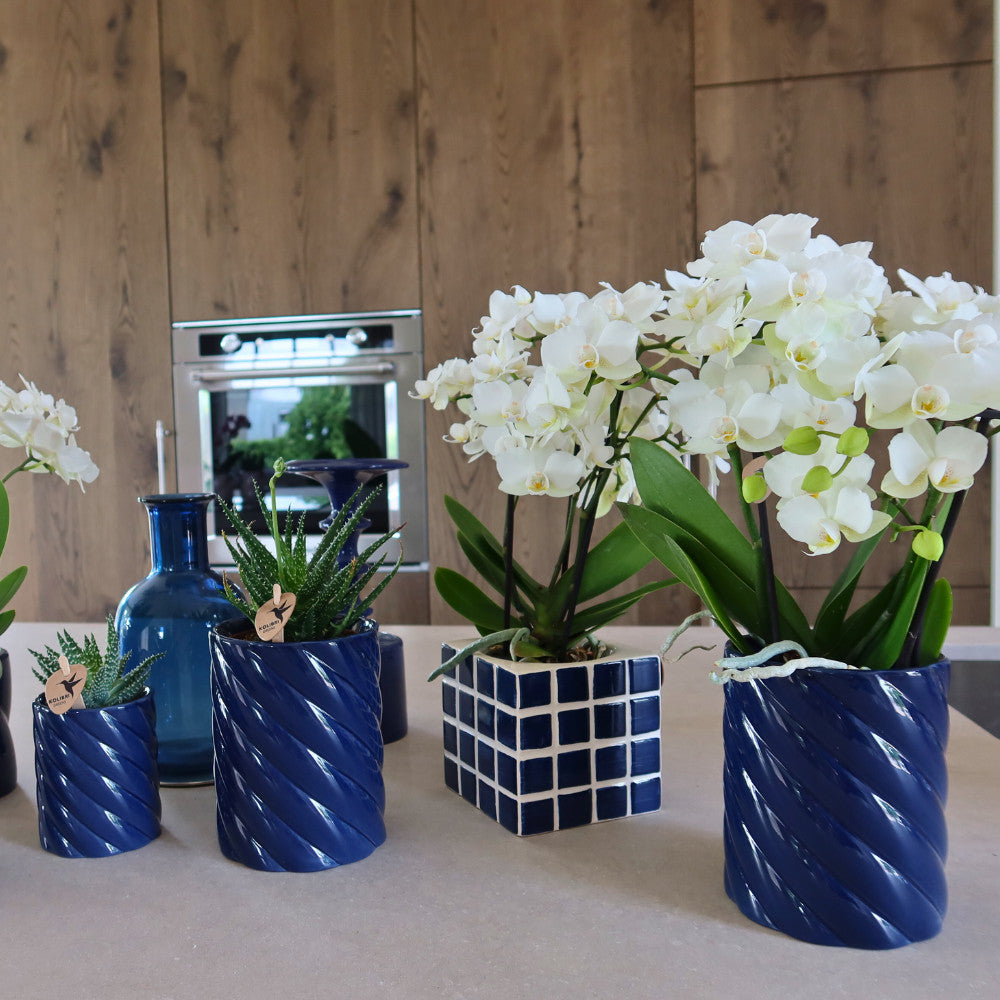 Kolibri Home | Candy sierpot | Hoog - Blue - Ø6cm | productafbeelding 4