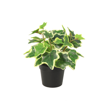 ARTIFICIAL White Ivy - 19cm | productafbeelding 2