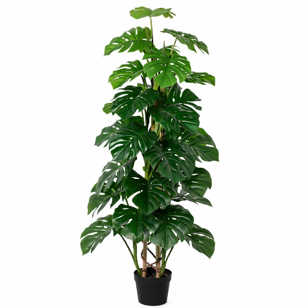 ARTIFICIAL Monstera Monkey Leaf - 125cm | productafbeelding 2