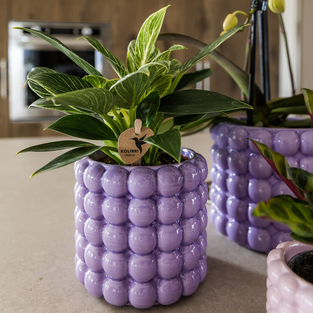 Kolibri Home | Poppy sierpot - Purple - Ø9cm | productafbeelding 2