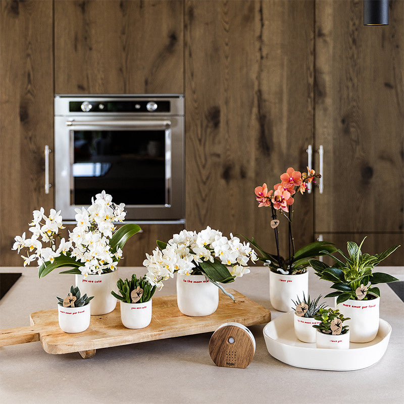 Kolibri Home | To the moon and back sierpot - Ø6cm | productafbeelding 6