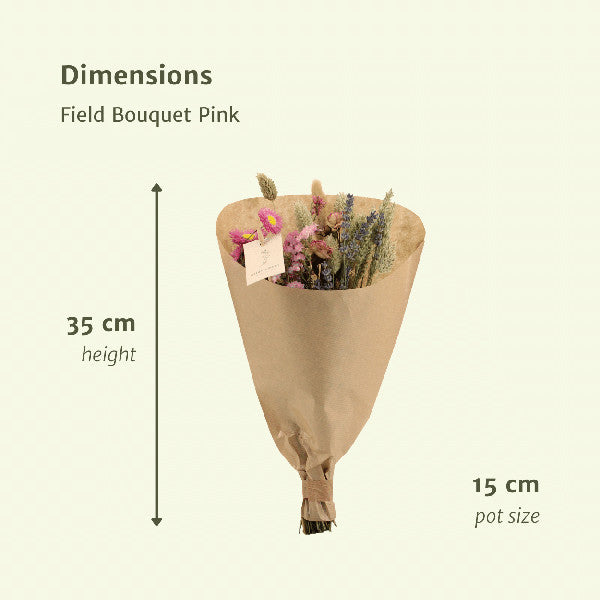 Droogbloemen Field Bouquet Pink - Ø25cm - ↕60cm - Ø15 - ↨35cm
