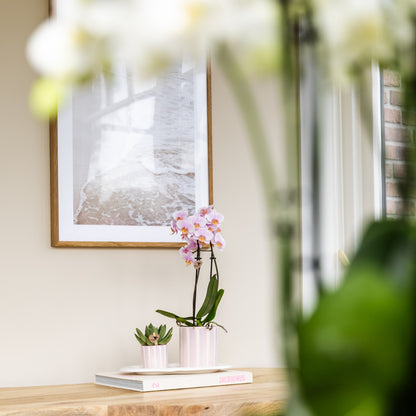 Kolibri Home | Painted stripe - Pink - Ø6cm | productafbeelding 3