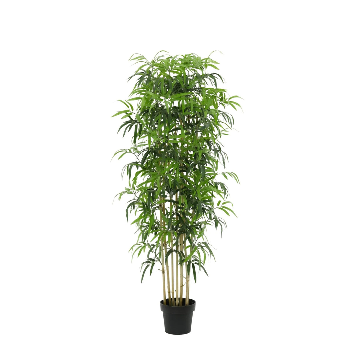 ARTIFICIAL Bamboe - 150cm | productafbeelding 6