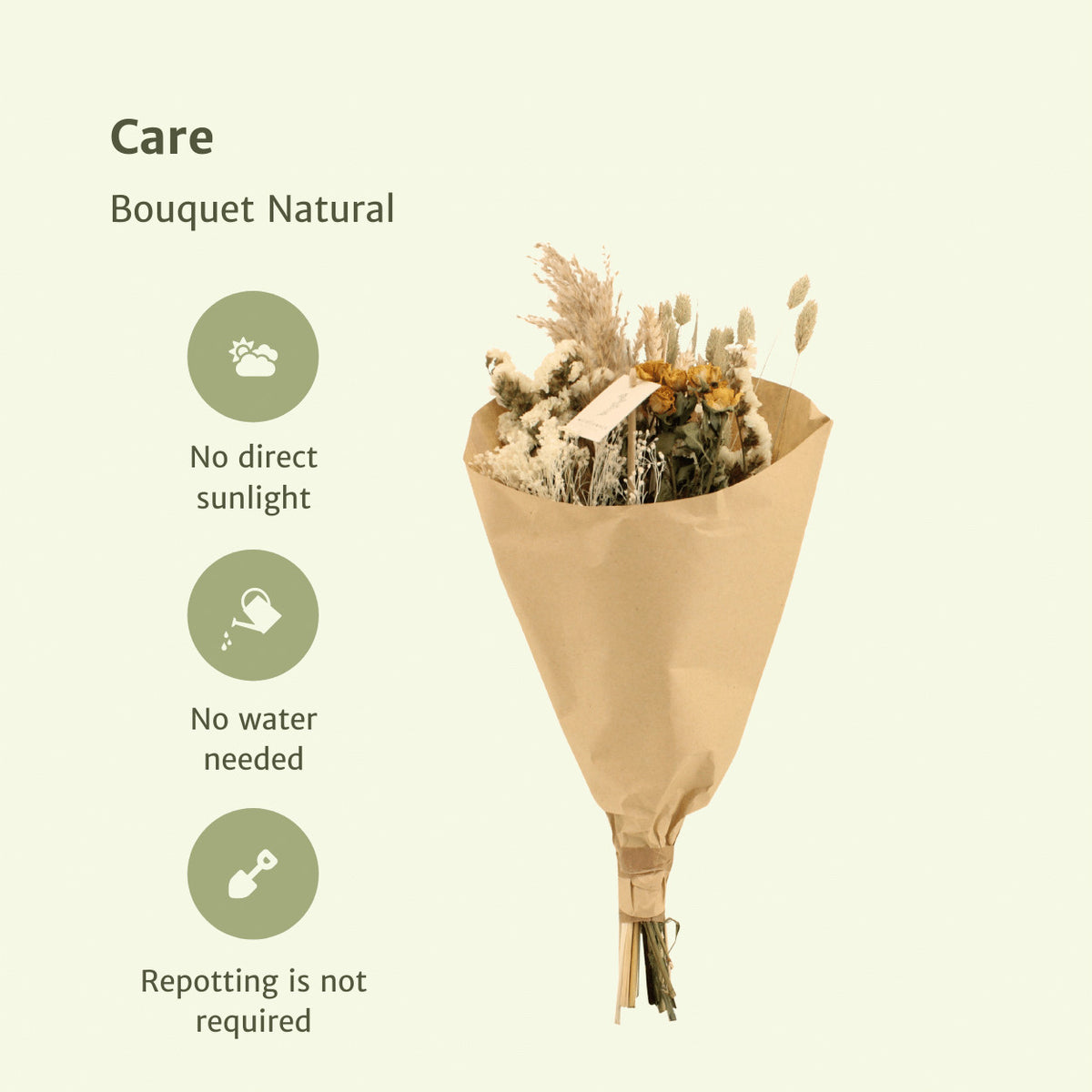 Droogbloemen Field Bouquet Natural - Ø20cm - ↕50cm | productafbeelding 4