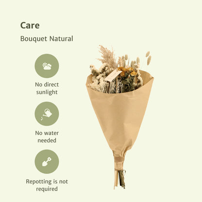 Droogbloemen Field Bouquet Natural - Ø20cm - ↕50cm | productafbeelding 4