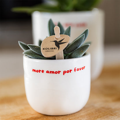 Kolibri Home | To the moon and back sierpot - Ø6cm | productafbeelding 5