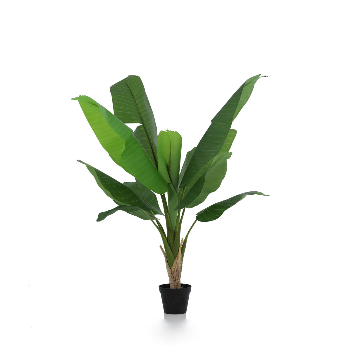 ARTIFICIAL Bananenplant Musa - 120cm | productafbeelding 2
