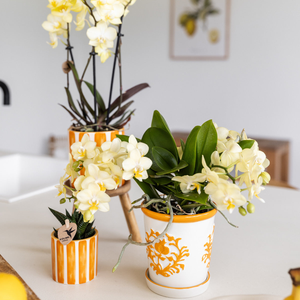 Kolibri Home | Painted stripe - Orange - Ø6cm | productafbeelding 5