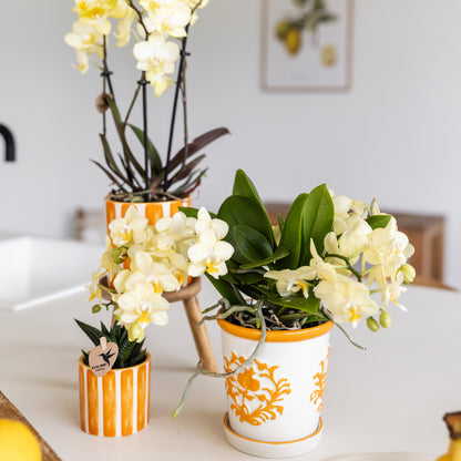 Kolibri Home | Painted stripe - Orange - Ø6cm | productafbeelding 5
