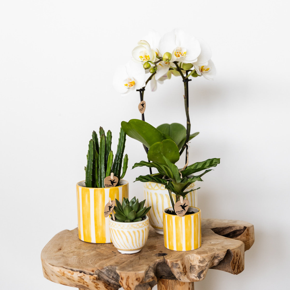 Kolibri Home | Painted stripe - Yellow - Ø6cm | productafbeelding 4